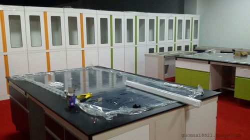 廣州實驗室家具一站式服務 設計、制作、安裝與售后，攜手品谷瀑環保軟件開發